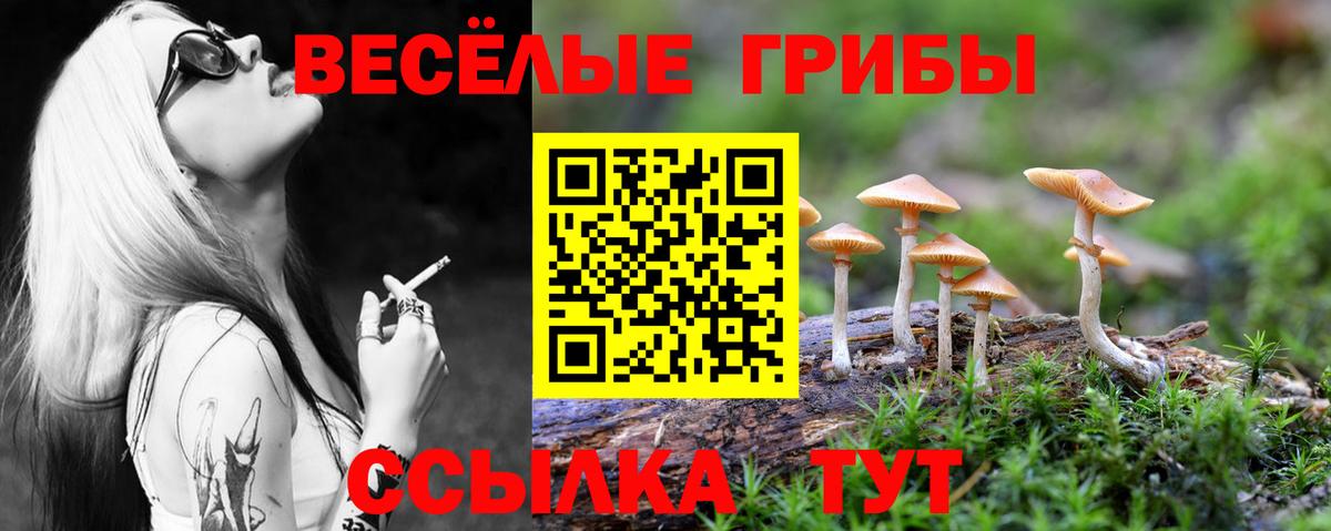 Борзя  Галлюциногенные грибы Psilocybe  Вход с VPN 