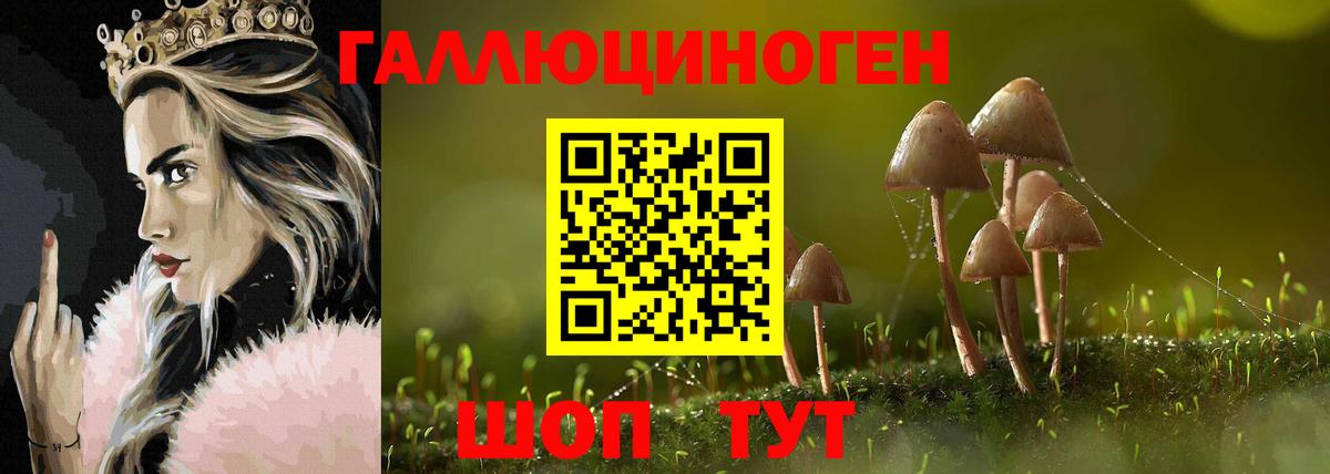 Псилоцибиновые грибы Cubensis Борзя